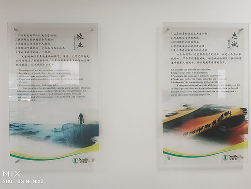 公司風(fēng)貌